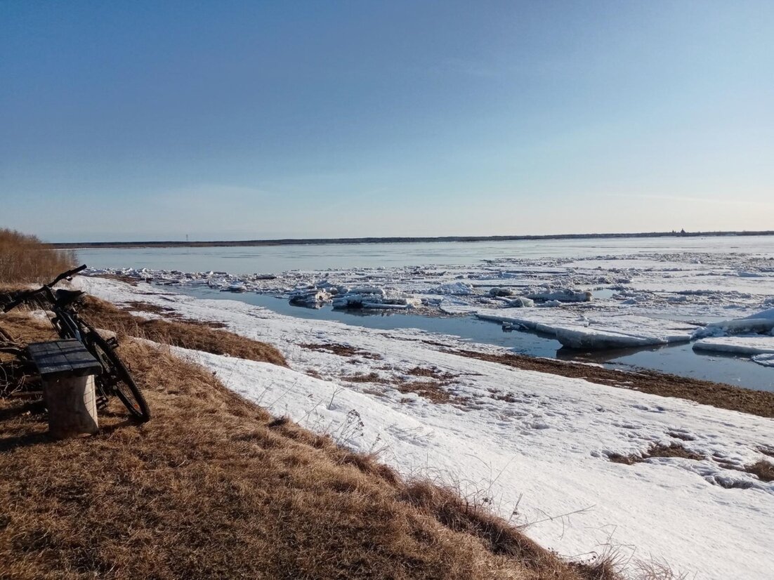 Берег Северной Двины Копачево